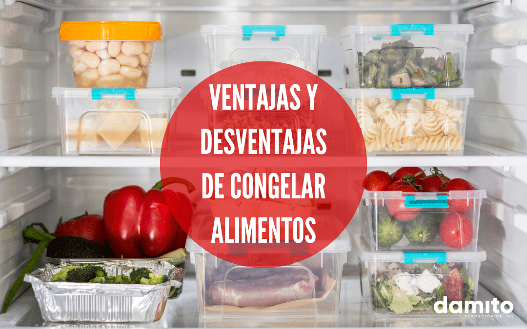 ¿Cómo se manipulan alimentos congelados? | Curso manipulador alimentos | Carnet manipulador alimentos