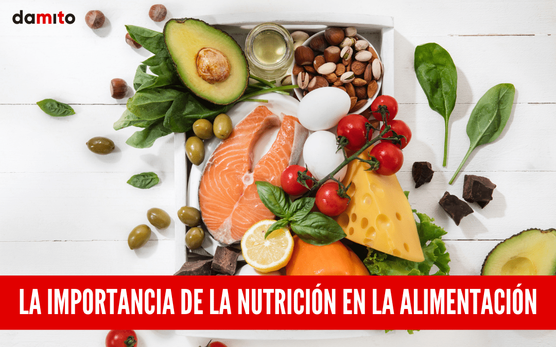 Tips para mejorar la nutrición en tu alimentación