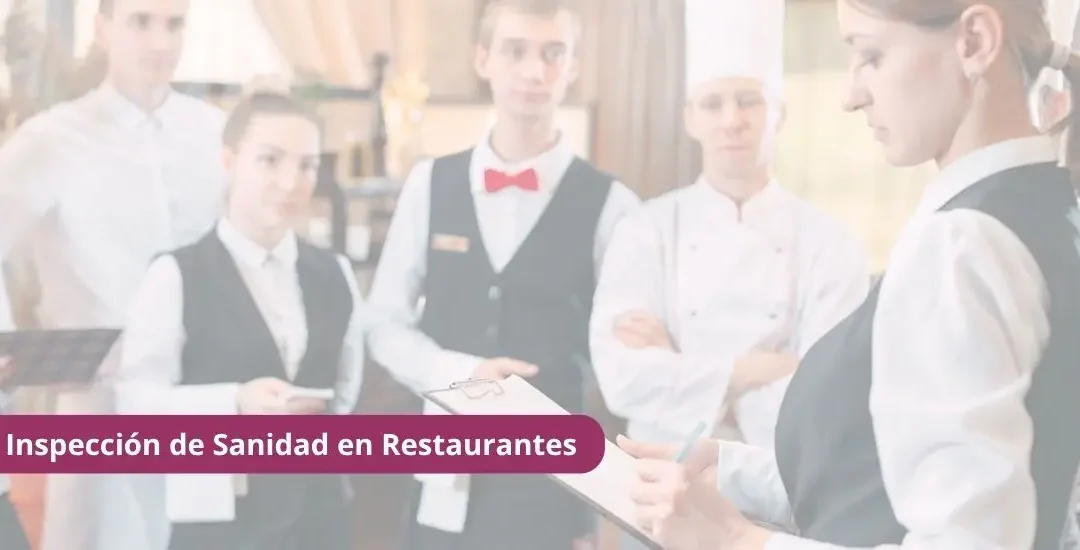 Inspección de Sanidad en Restaurantes: Qué Revisan, Sanciones y Cómo Prepararte