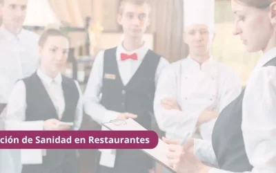 Inspección de Sanidad en Restaurantes: Qué Revisan, Sanciones y Cómo Prepararte
